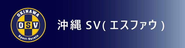 スイソシークヮーサーの沖縄SV